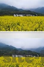 10年世界杯法国前锋-法国前锋在2010年世界杯的闪耀时刻